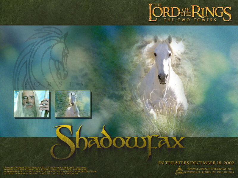 Shadowfax horse poster