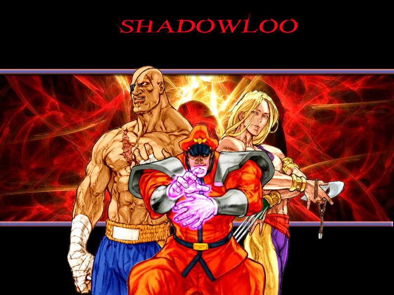 Shadowloo fighting game characters