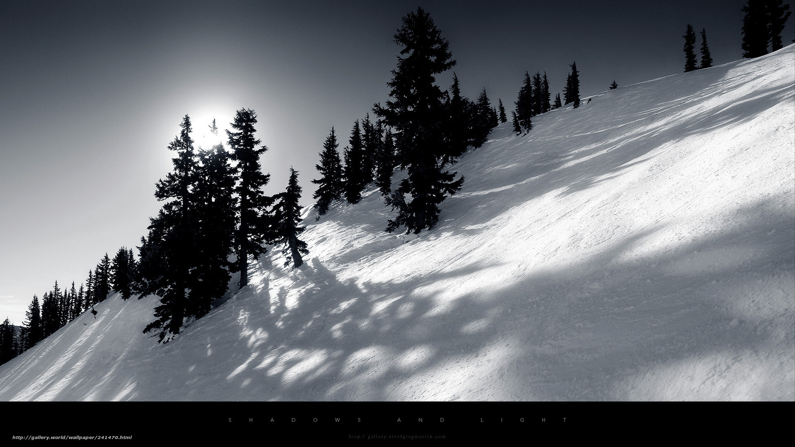 Shadows and Light on a Snowy Slope
