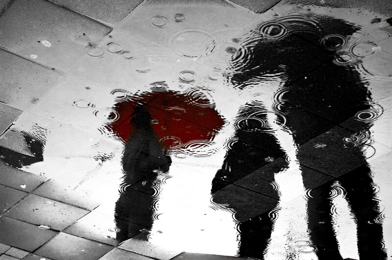 Shadows in Puddle