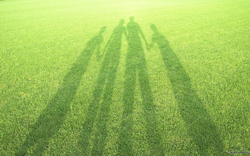 Shadows of a family on grass