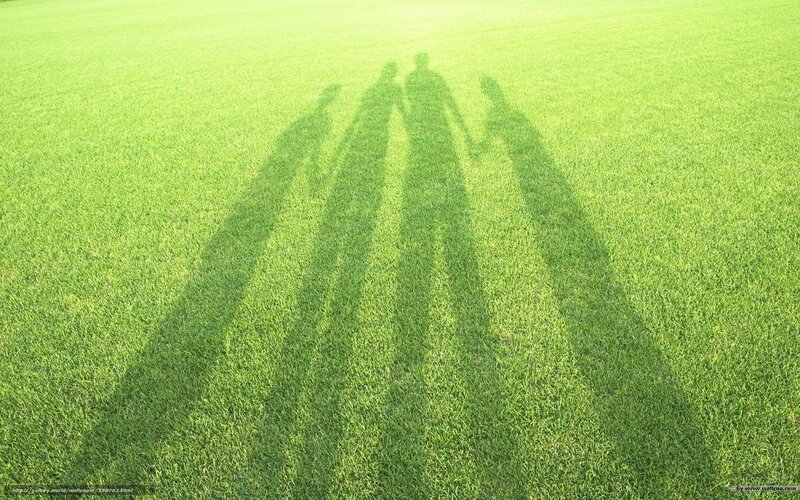 Shadows of a family on grass