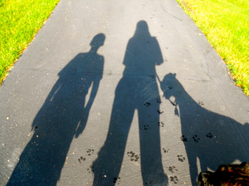 Shadows of People and Dog