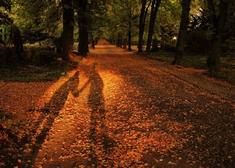Shadows of Two People
