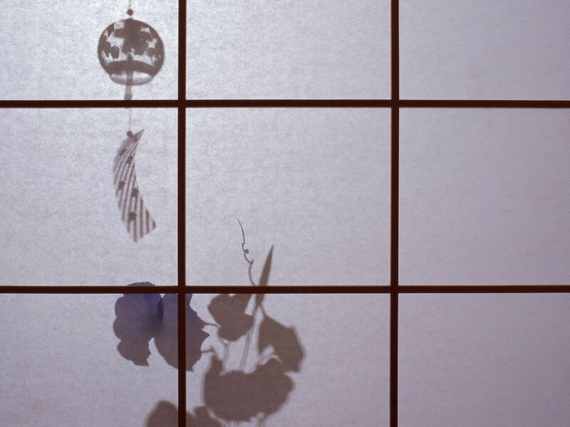 Shadows on a paper screen