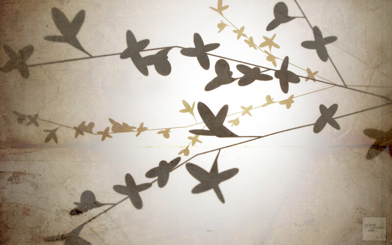 Shadowy Branches on Textured Background