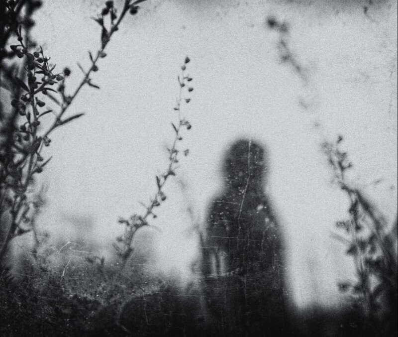 Shadowy Figure in Field
