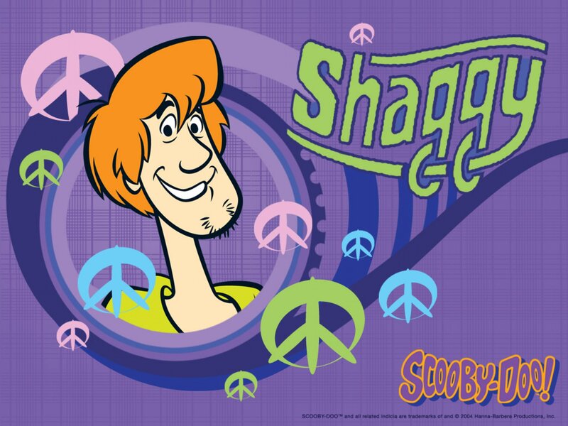 Shaggy Character
