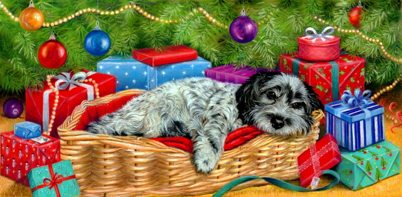 Shaggy Dog in Basket