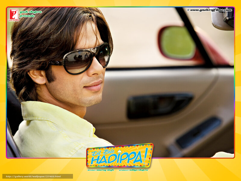 Shah Rukh Khan in Dil Bole Hadippa