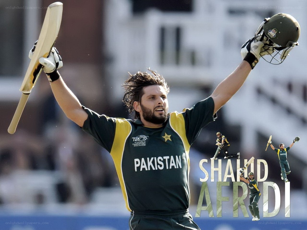 Shahid Afridi celebrates