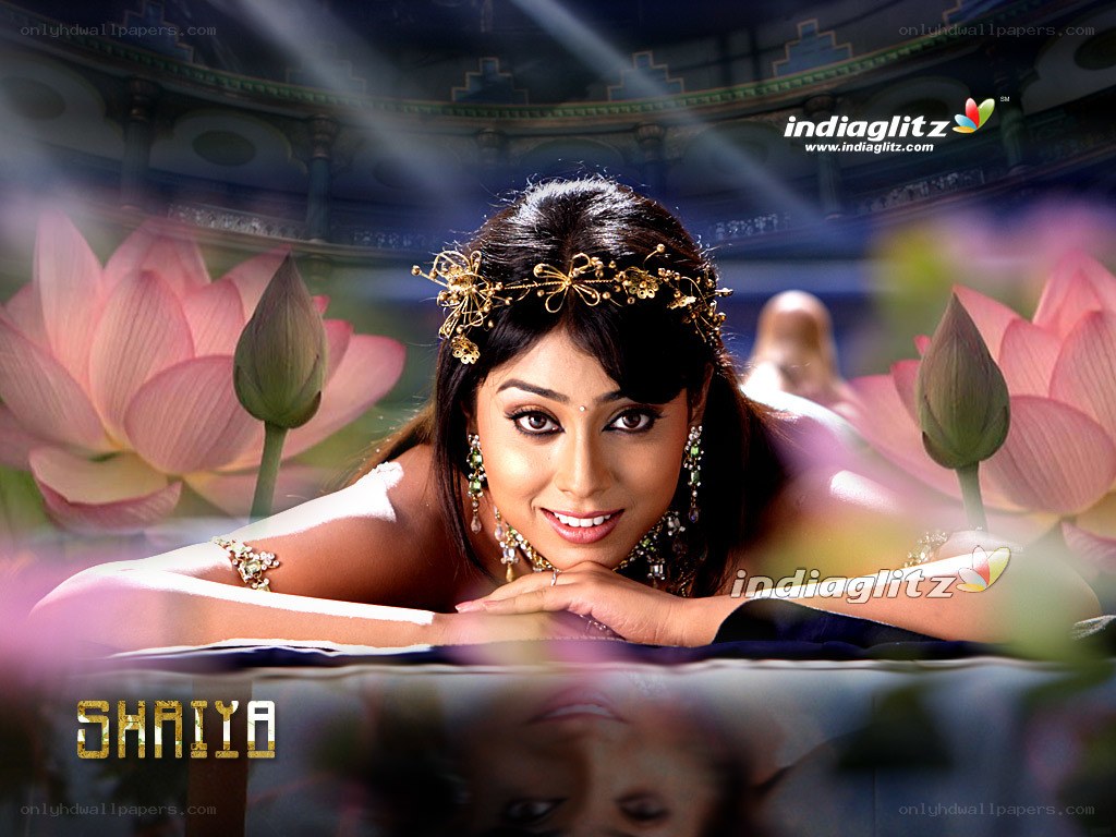 Shaiya promotional image