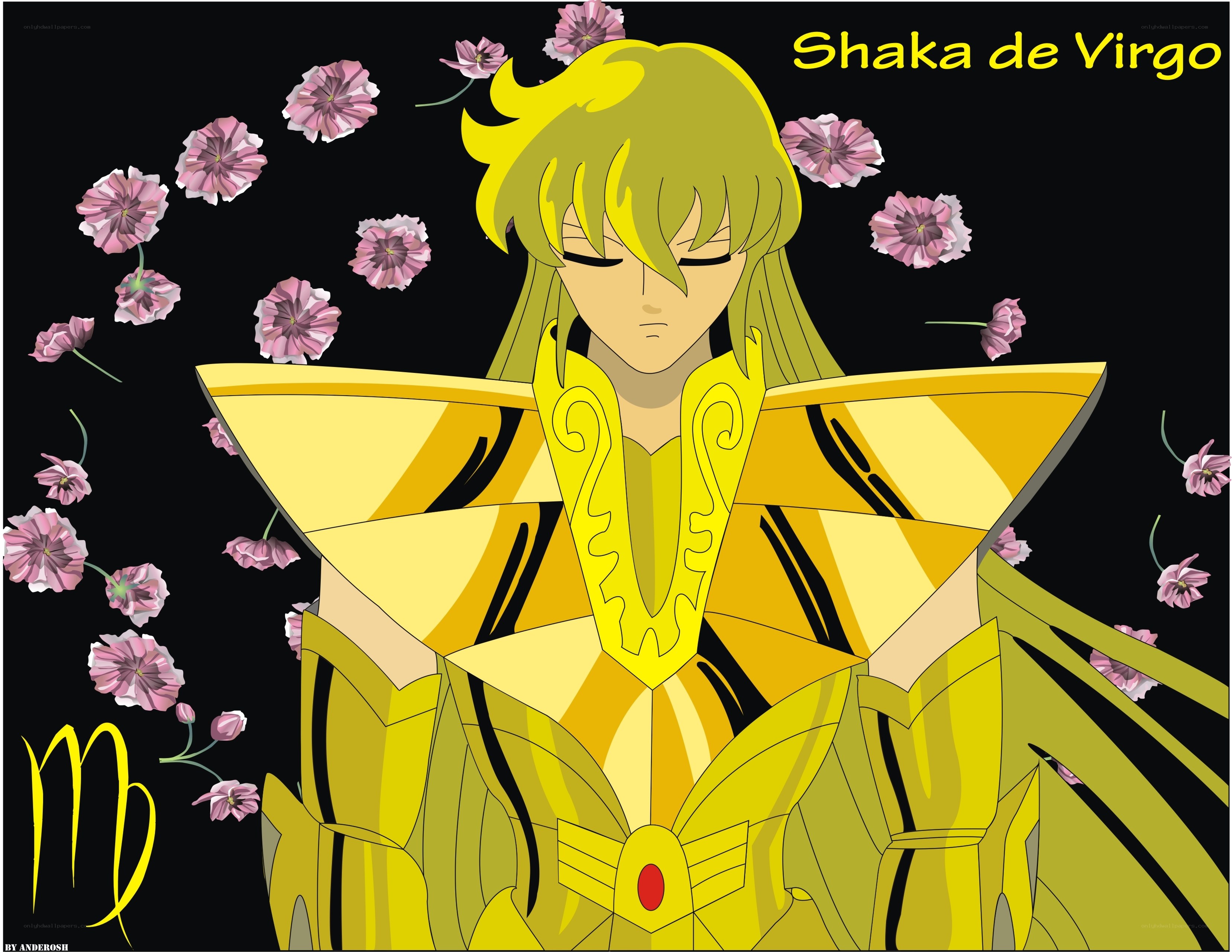 Shaka de Virgo artwork
