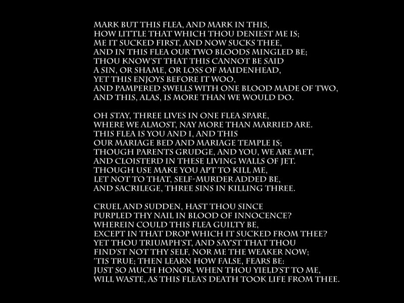 Shakespearean sonnet on a flea