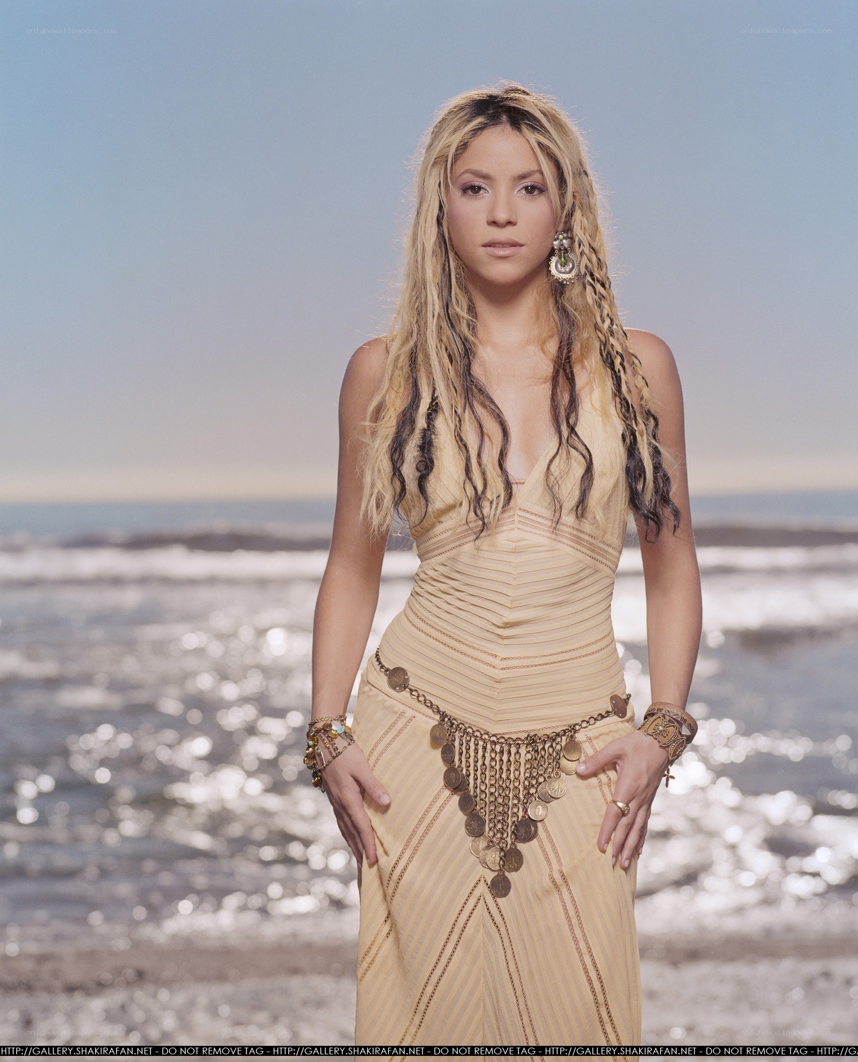 Shakira on the beach