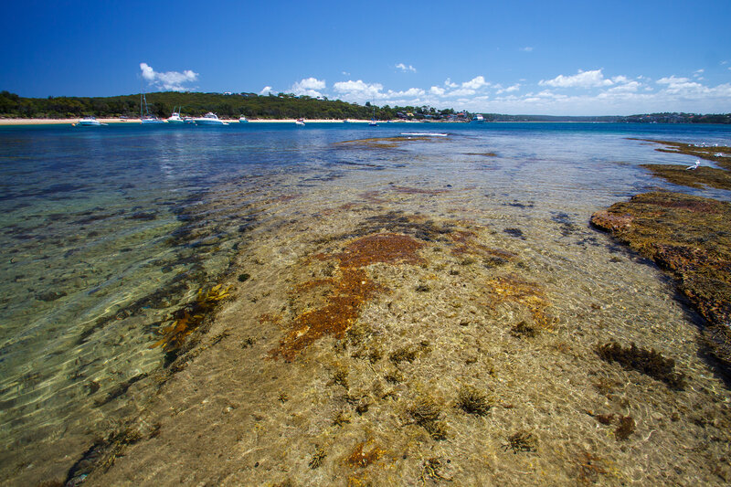 Shallow Coastal Water