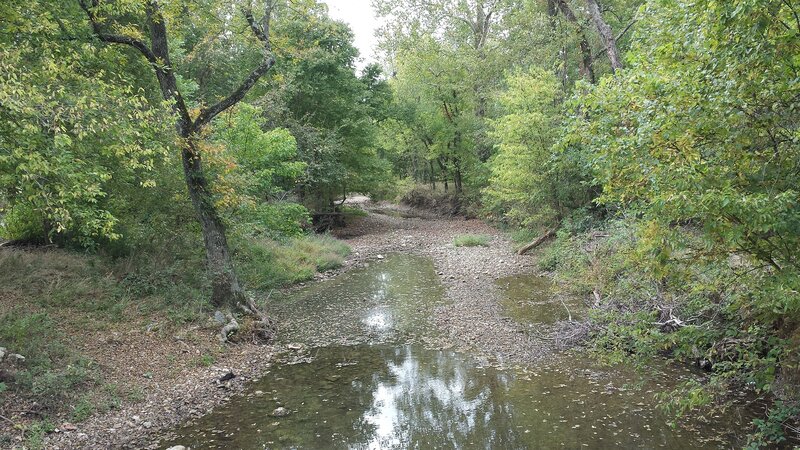 Shallow Creek in Forest