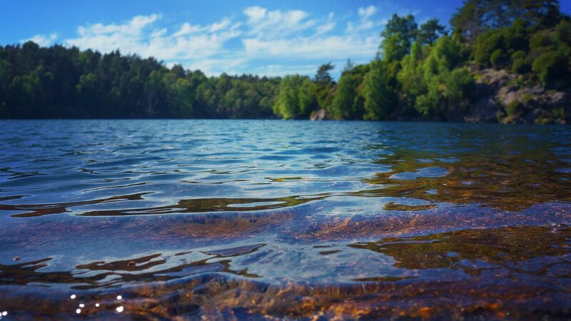 Shallow Lake Water