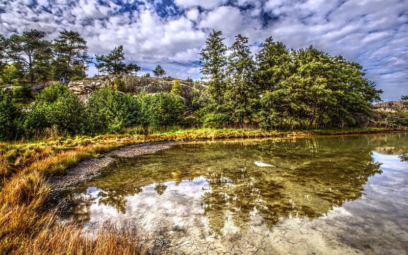 Shallow Pond with Trees