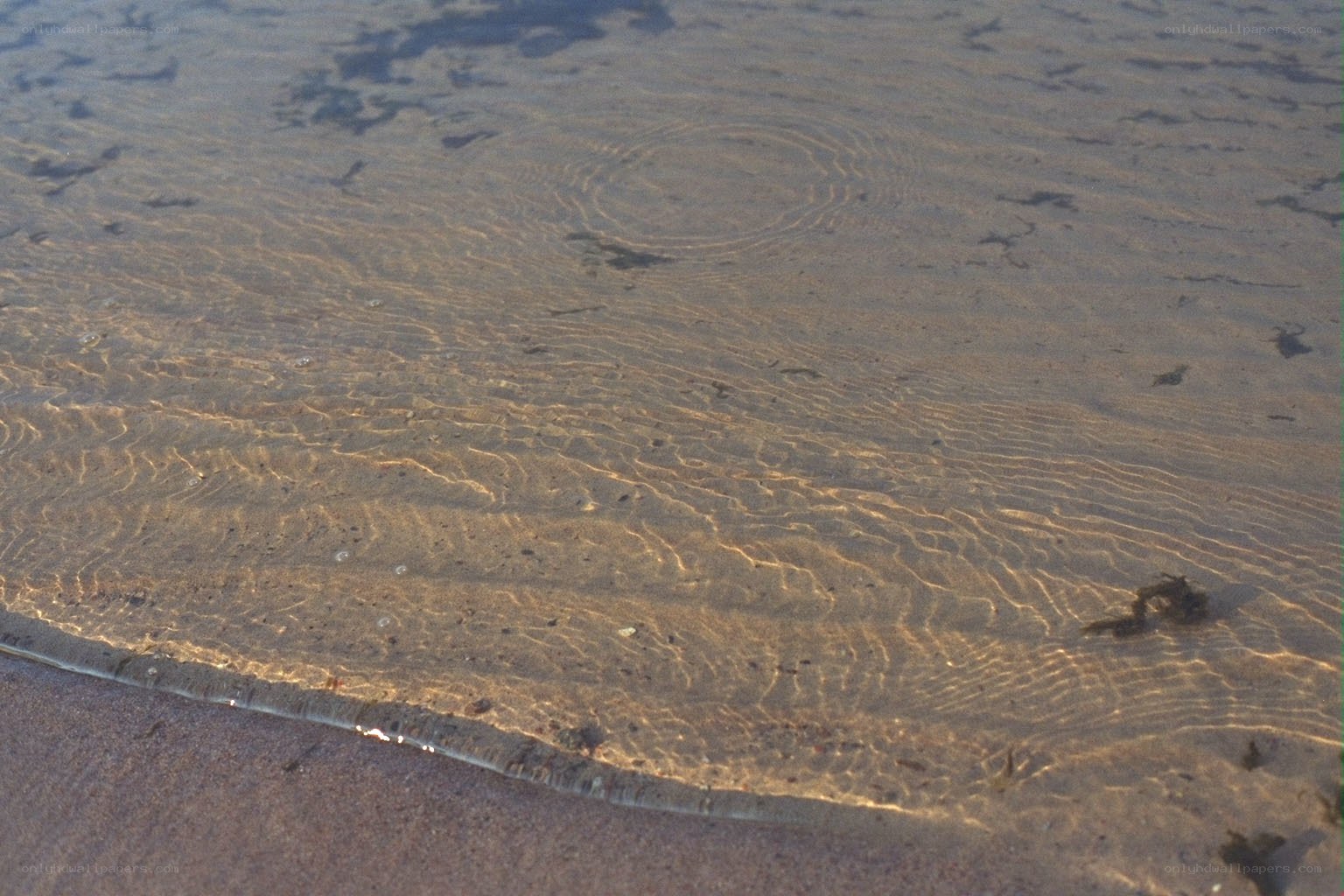 shallow water ripples on sand