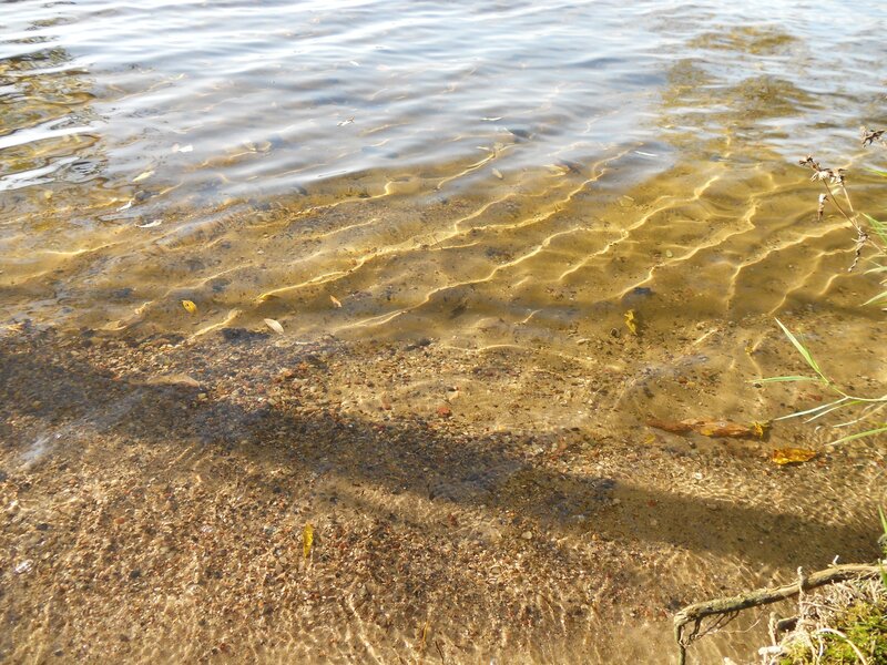 Shallow Water with Pebbles