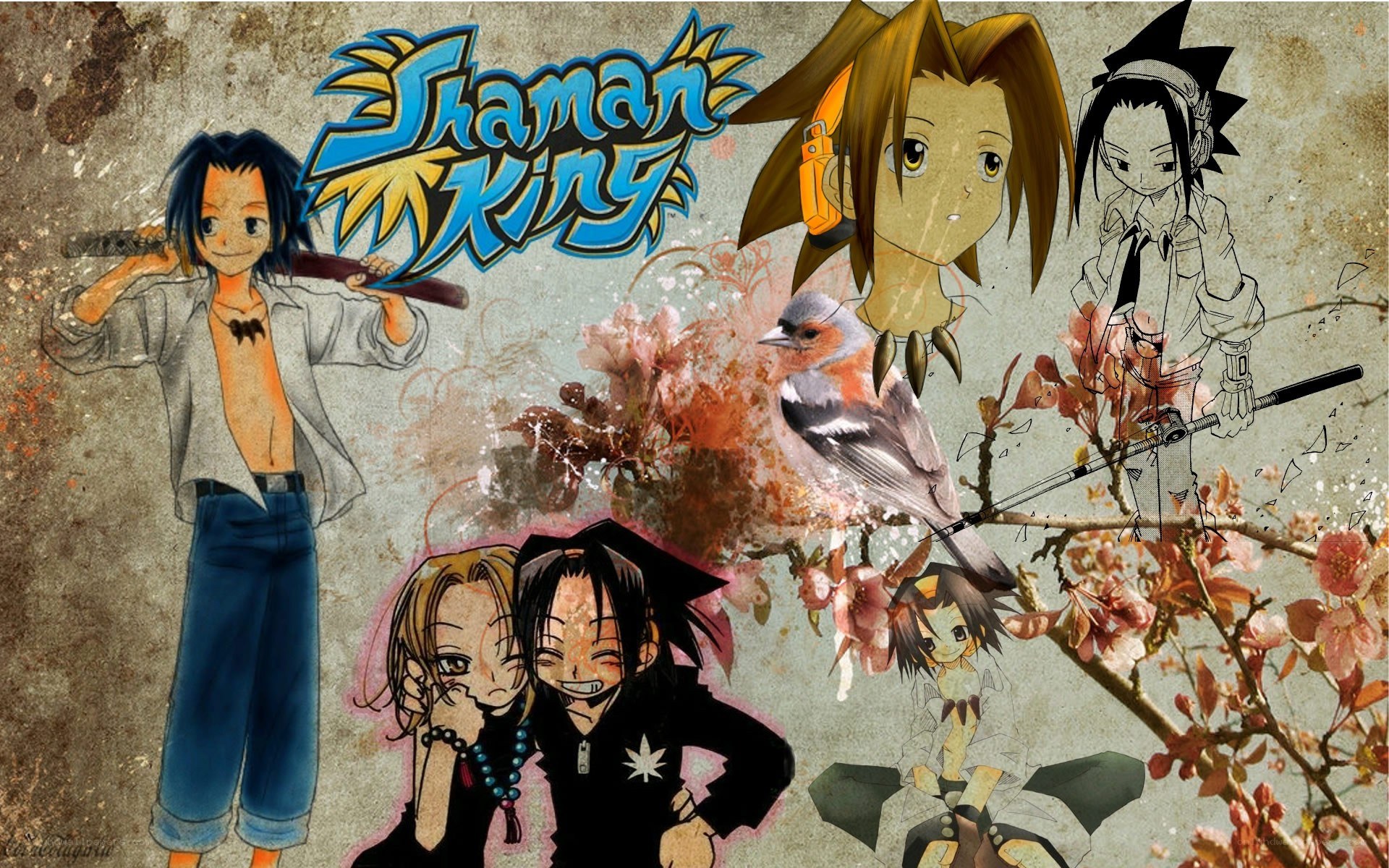 Shaman King anime collage