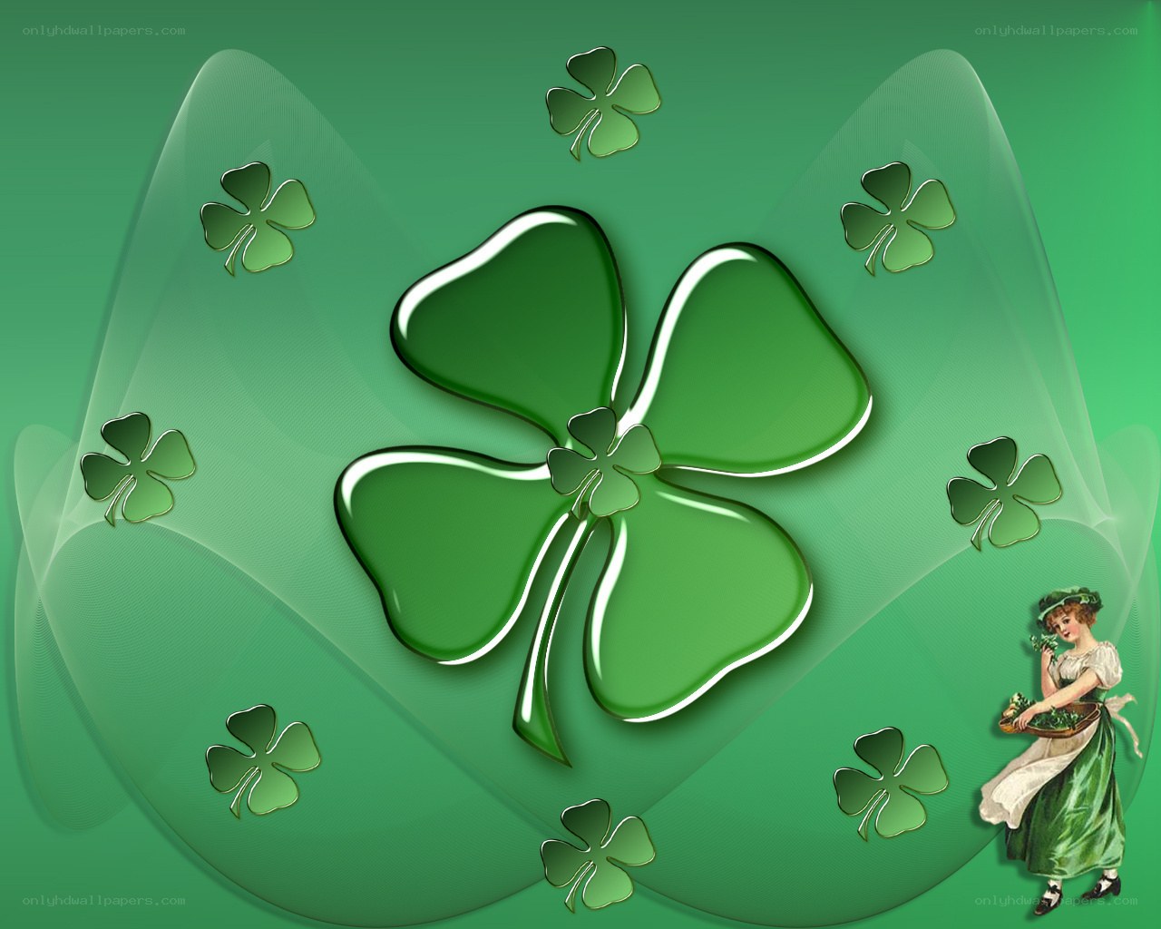 Shamrock clover background