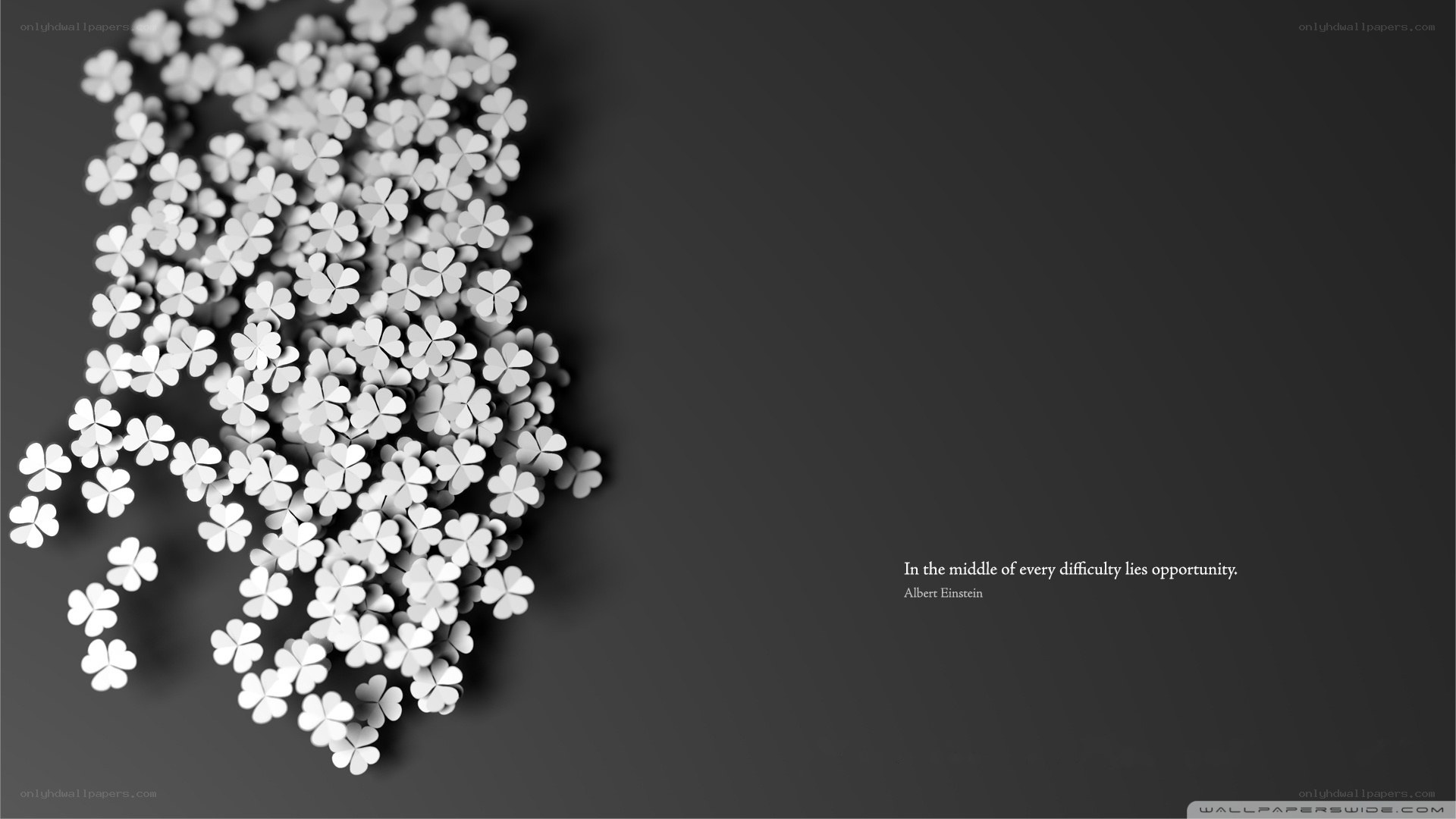 Shamrocks with quote