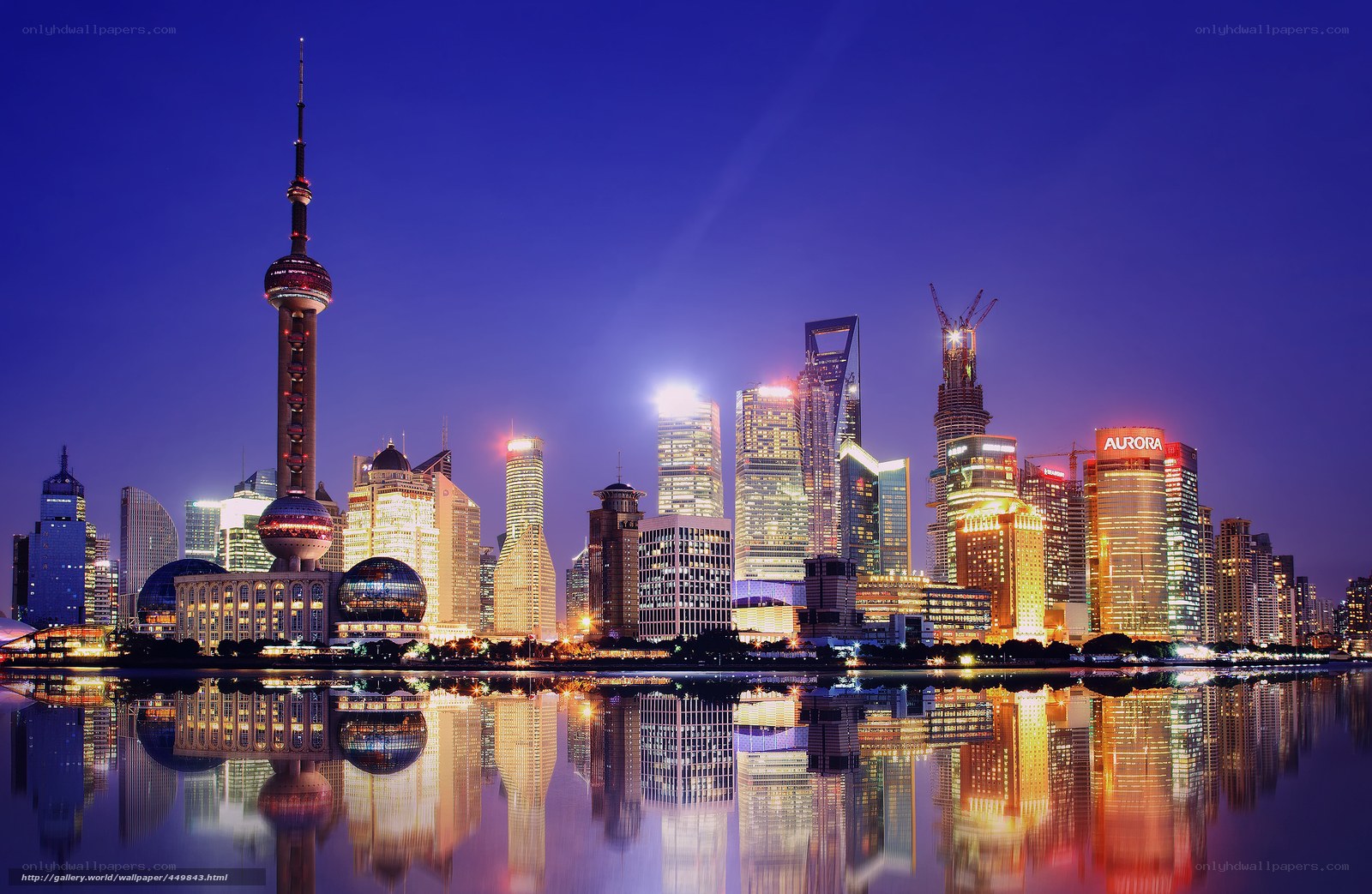 Shanghai skyline at night