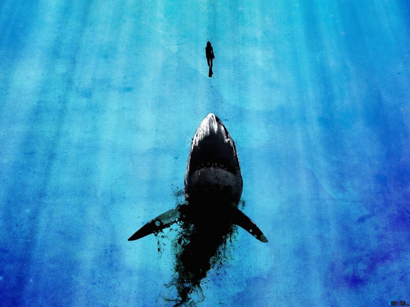 Shark and Diver