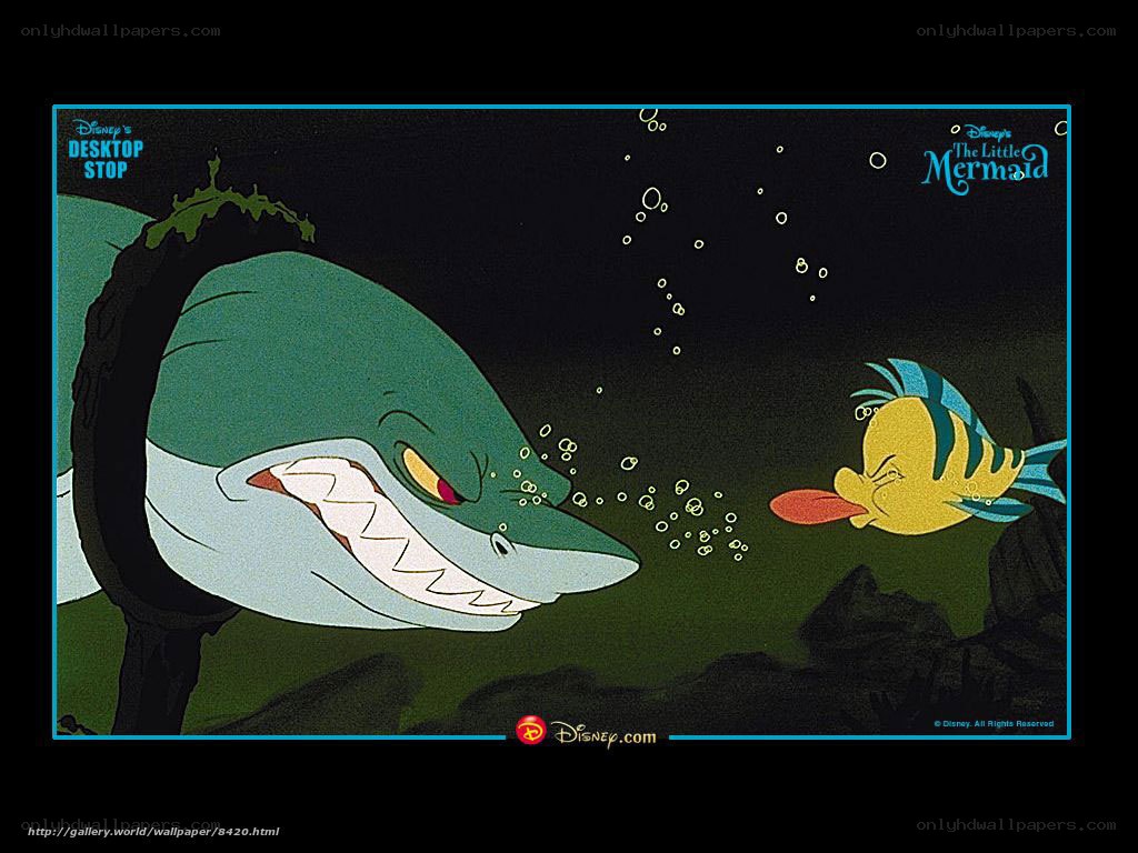 Shark and fish underwater scene