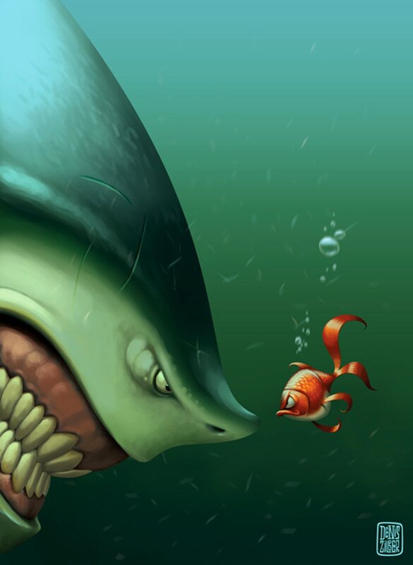 Shark and goldfish underwater