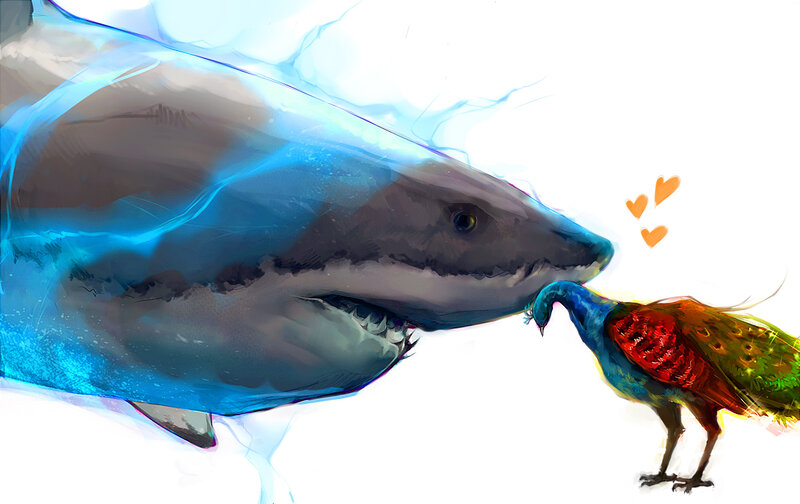 Shark and peacock interaction