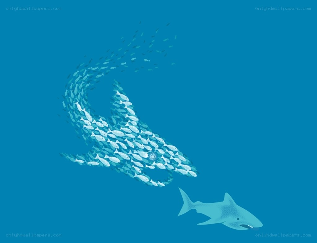 Shark and school of fish