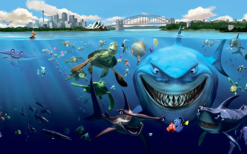 Shark and Sea Turtles