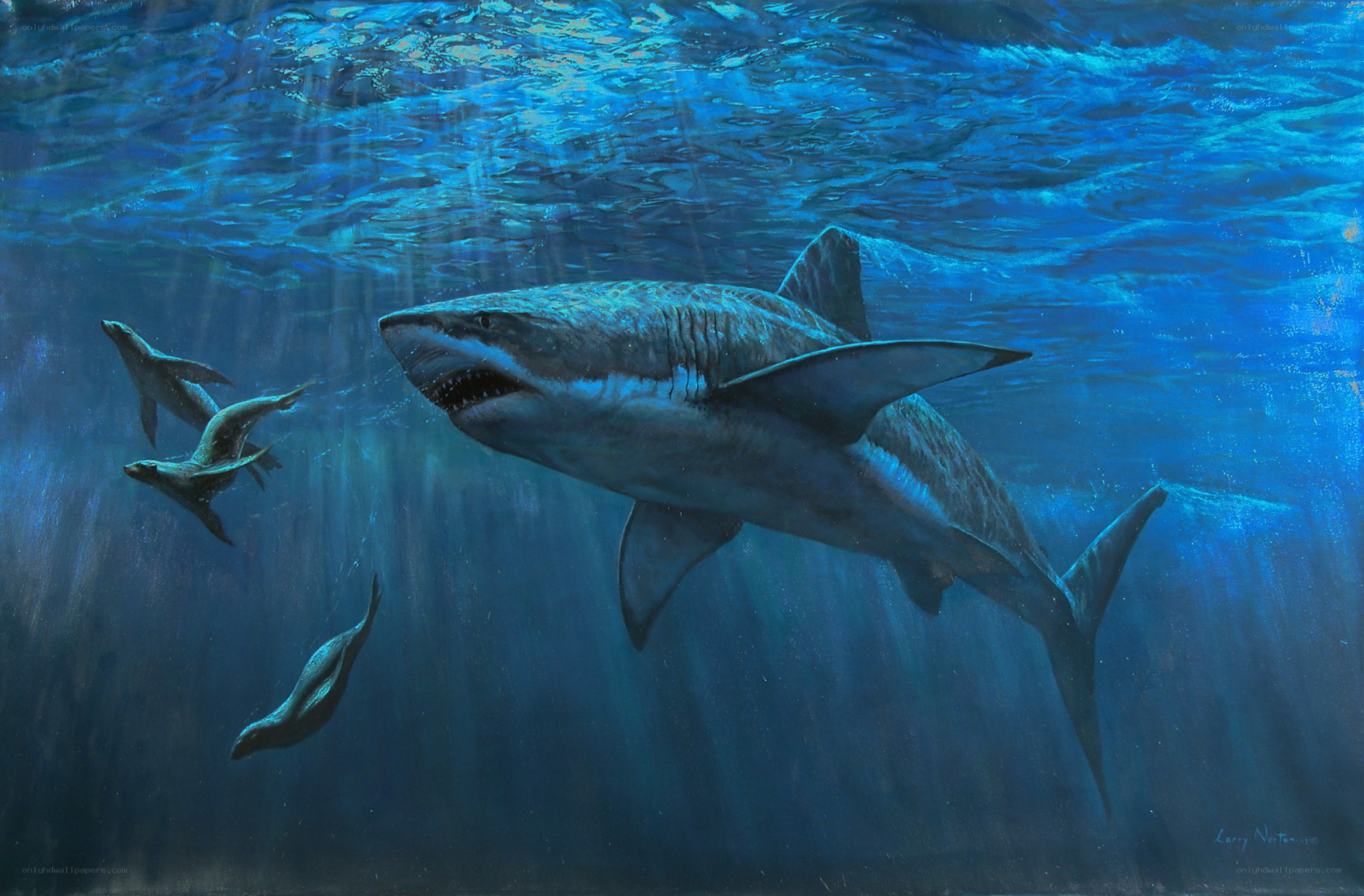 Shark and seals underwater