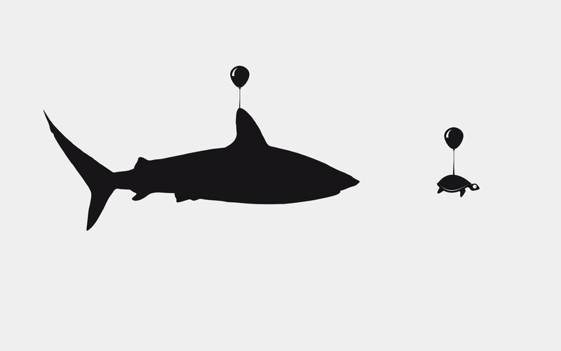Shark and Turtle Silhouettes