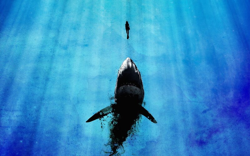 Shark approaching diver