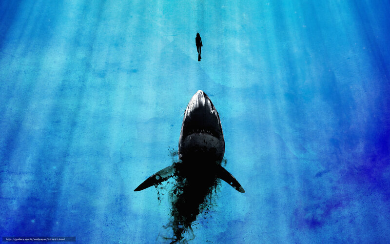Shark Approaching Diver — Blue