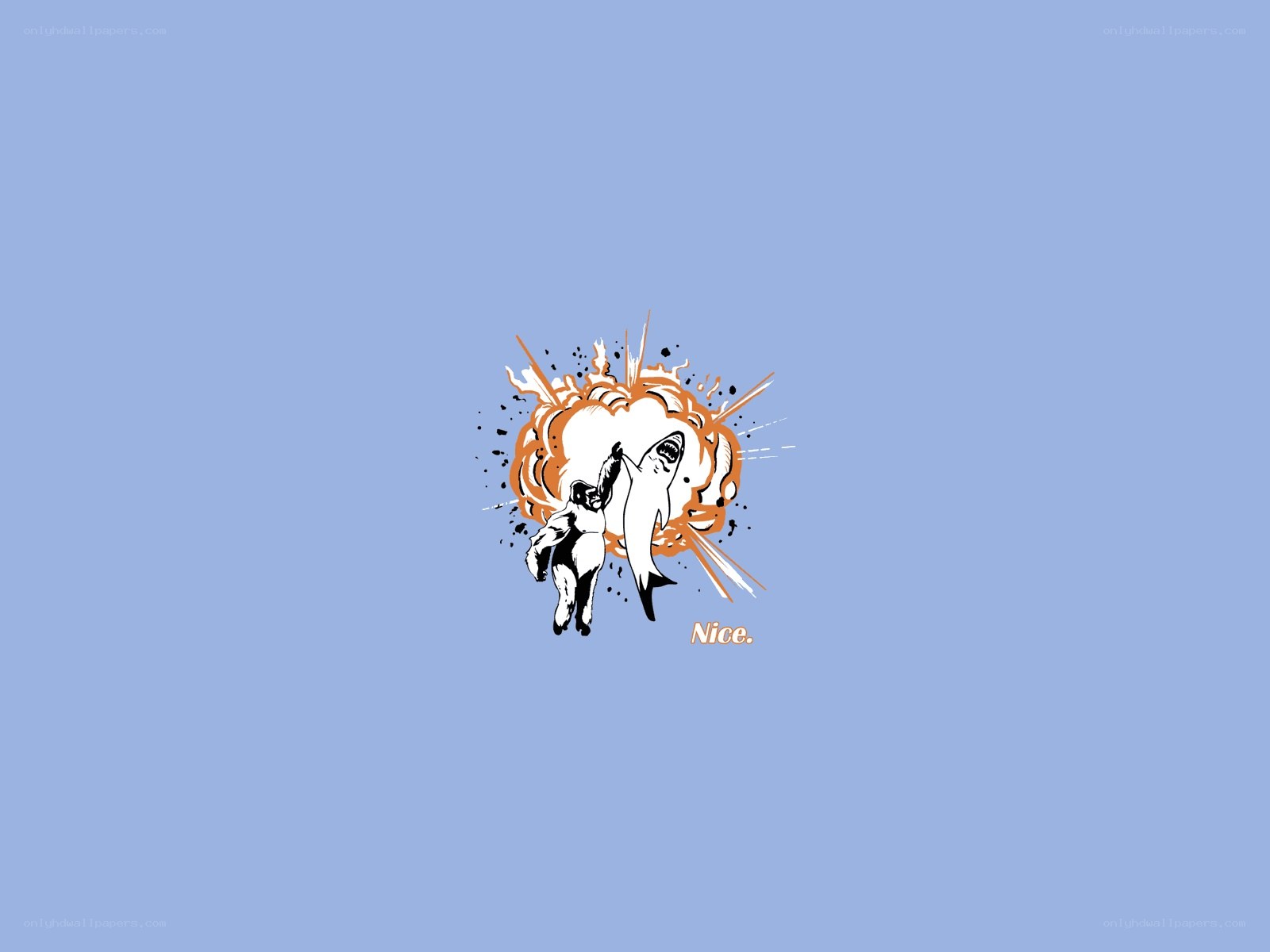 shark attack illustration