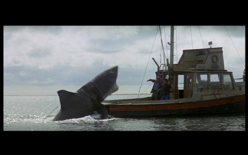 Shark Attacking Boat