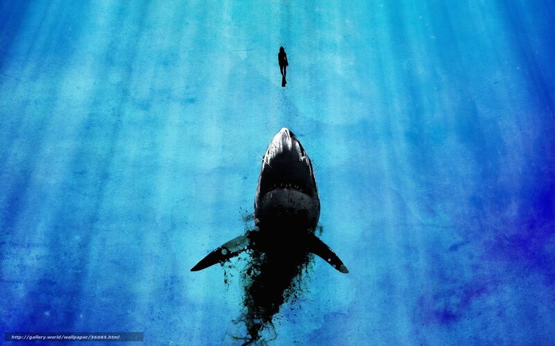 Shark Attacking Diver