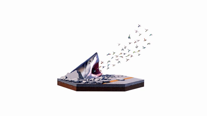 Shark breaking through pavement
