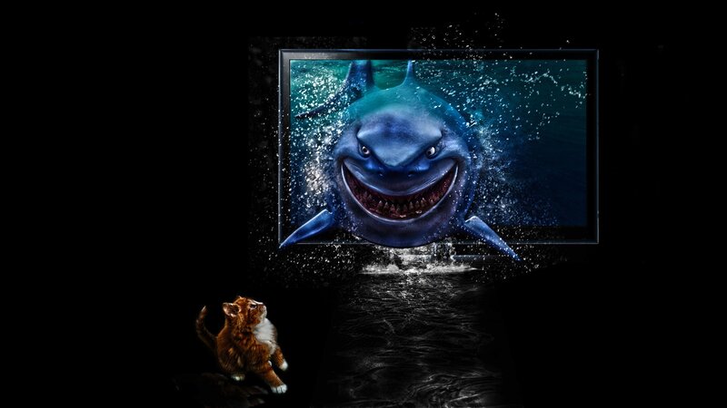 Shark breaks through screen
