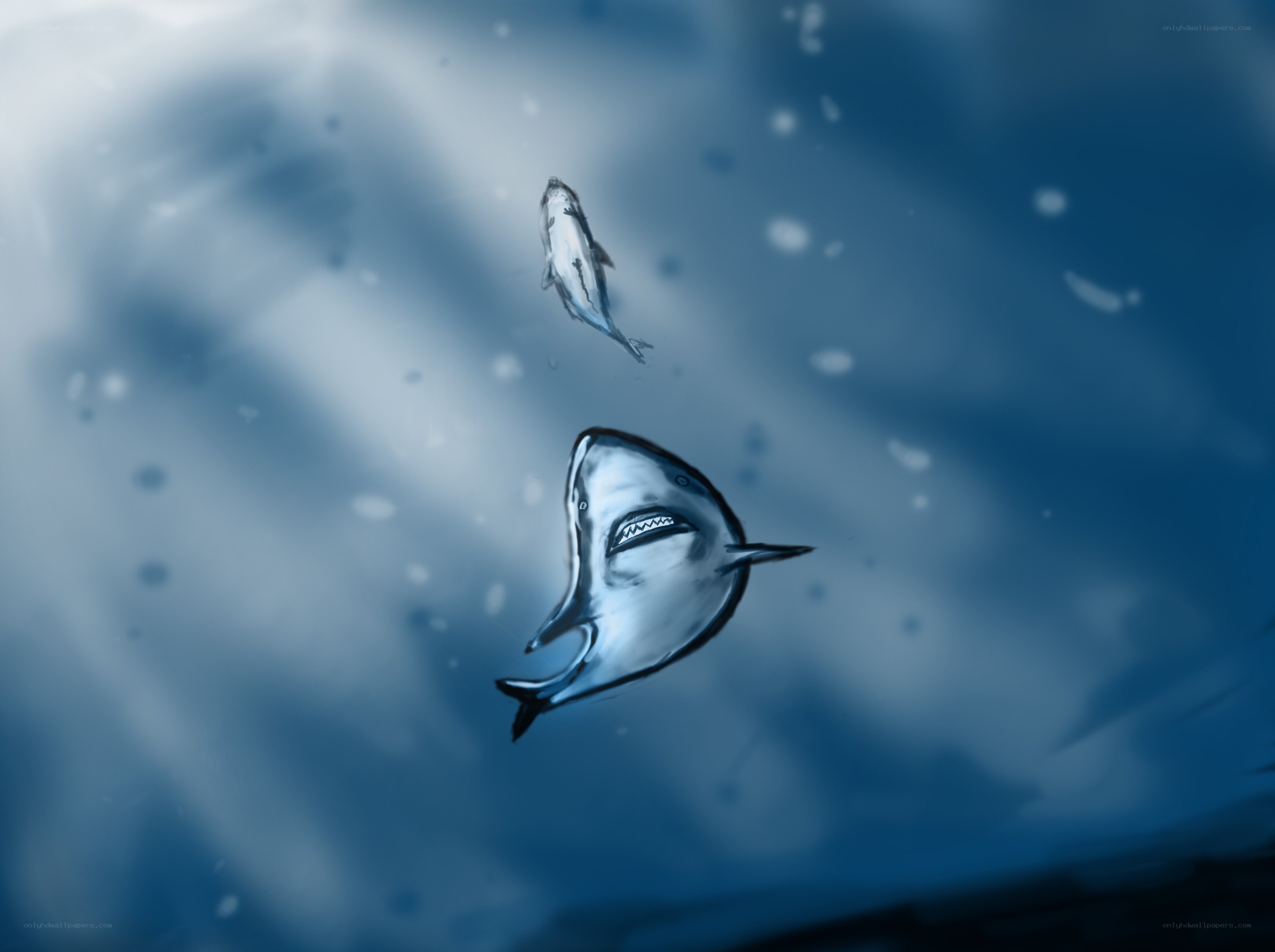 Shark chasing fish underwater