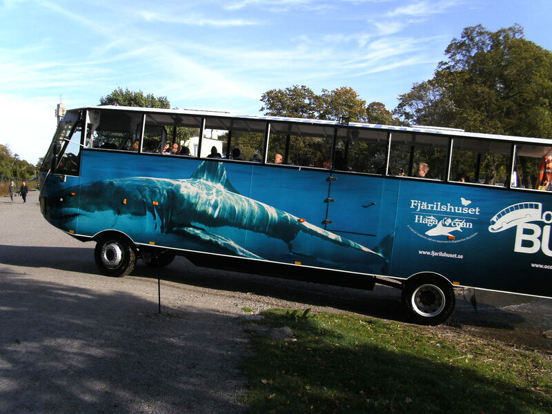 Shark-decorated Bus