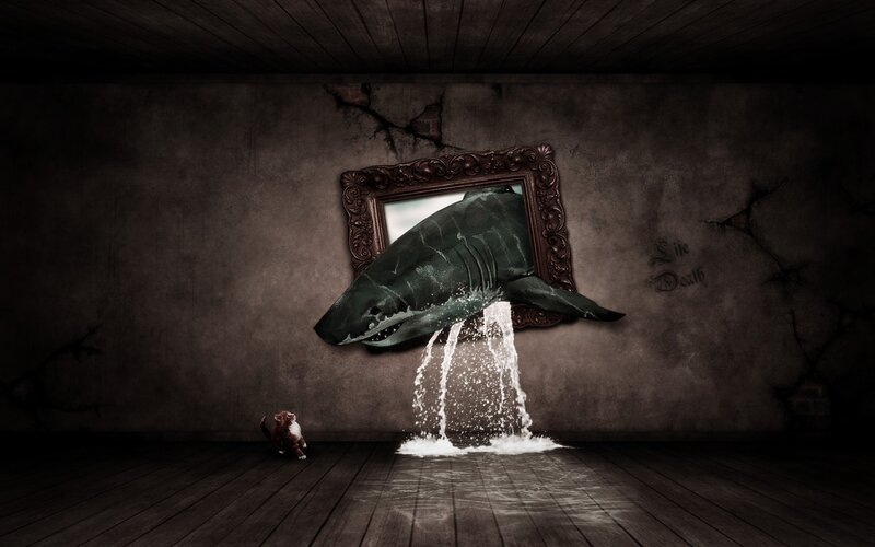 Shark emerging from a mirror