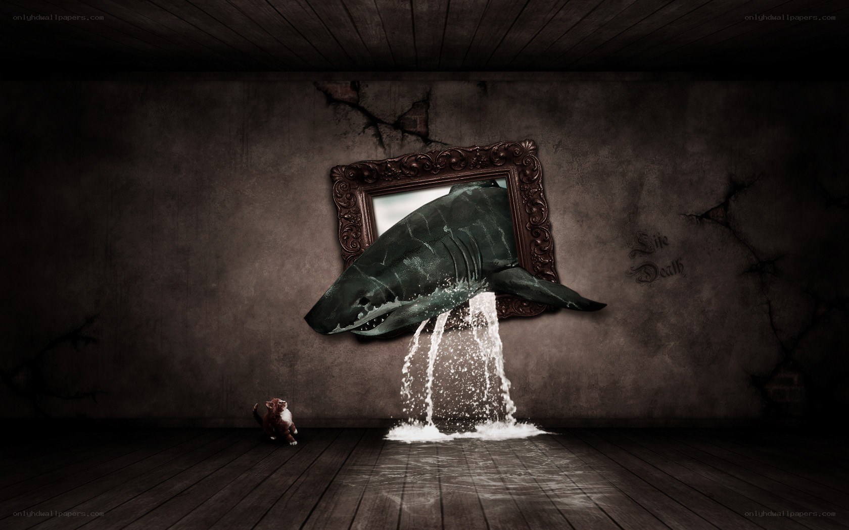 Shark emerging from a mirror
