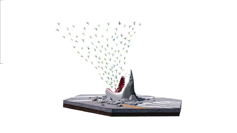 Shark emerging from road