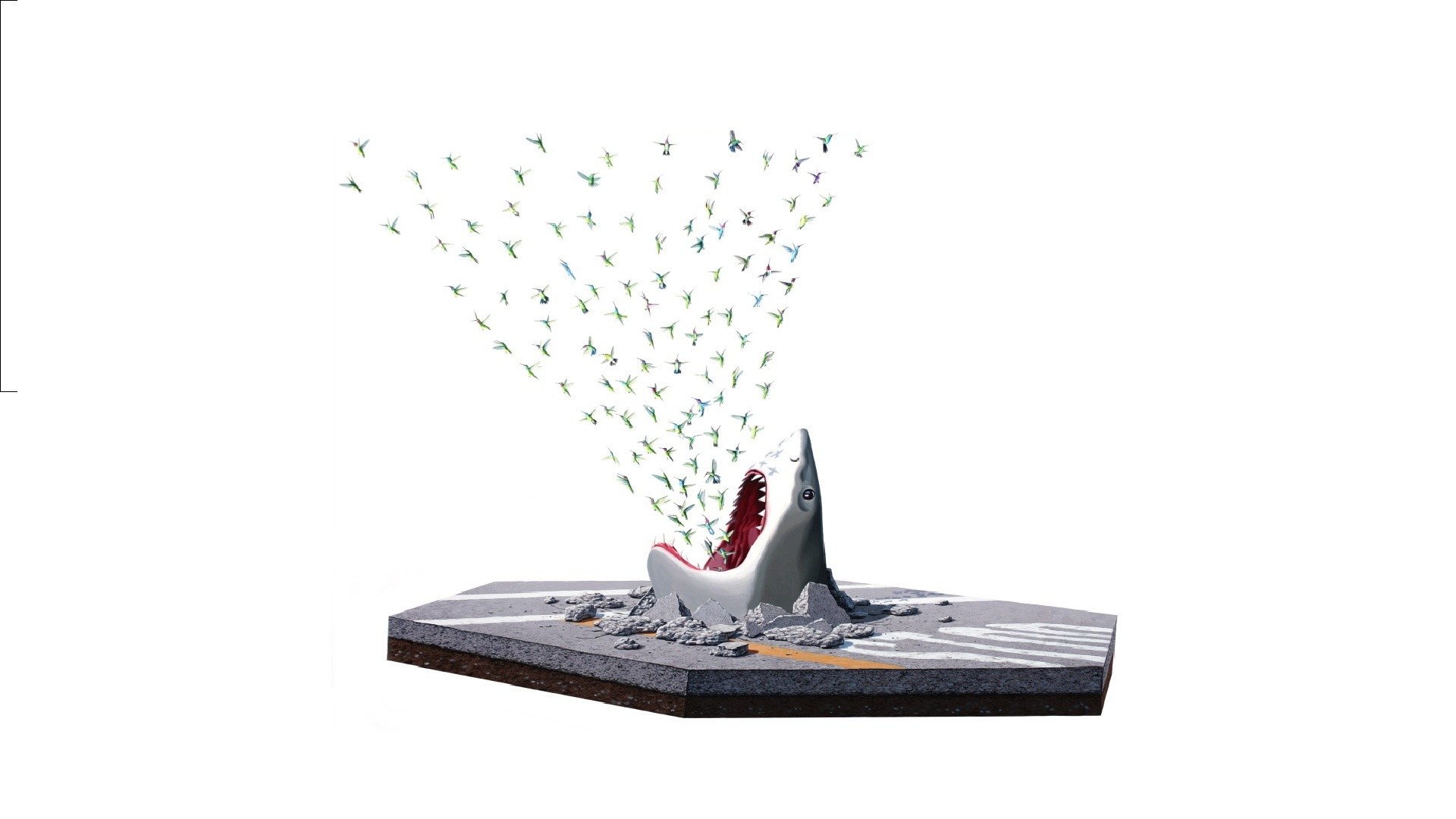 Shark emerging from road